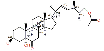 Echrebsteroid C